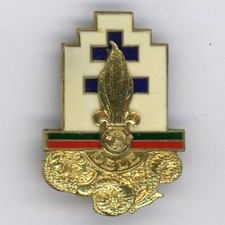 13th DBLE Legion Dragon Badge Guilloche Back