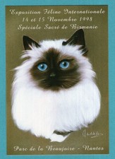 Cat: Sacred of Burma, exhibition Féline Nantes. / CPA-Postcard /