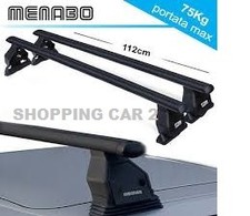 Barres de Toit Transporteur