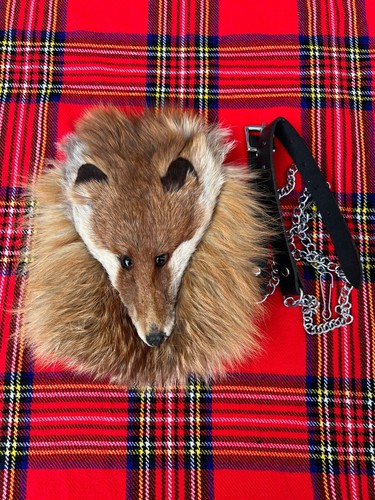 Homme écossais fox visage - fox,