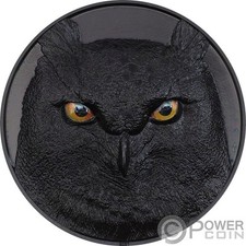 EAGLE OWL Hunters by Night 5