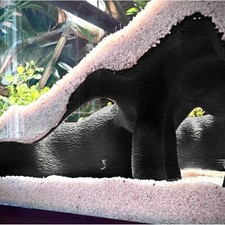 Cachette d'angle de racine de mangrove fausse pour aquarium terrarium aspect nat