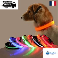 Laisse LED Clignotante –