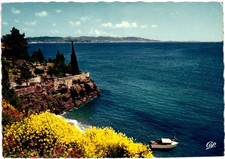 Postcard Postage w/Stamp - The