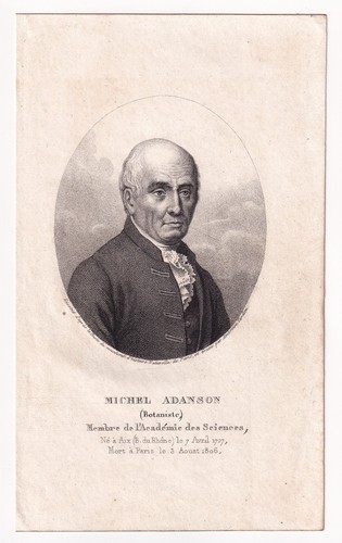 Portrait xixe michel - portrait, adanson