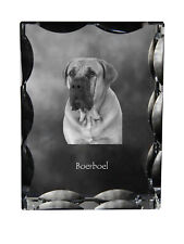 Boerboel - Cristal Avec Einem Hundebild, Glasstatuette Image, Einzigart