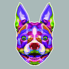 TETE CHIEN TERRIER BOSTON BOULEDOGUE AUTOCOLLANT STICKER FPC008