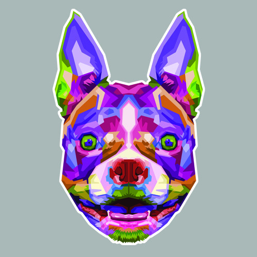 Tete chien terrier boston - tete,