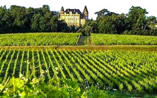 Château de RAYNE-VIGNEAU - 1er Grand Cru Classé/Hors d'âge 1904 _ Sauternes/RaRe