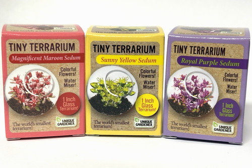 Tiny terrarium flower pack - tiny, terrarium-flower
