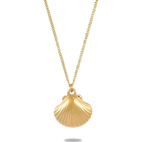 Collier coquillage femme - collier,