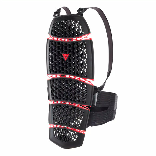 Protection dorsale moto