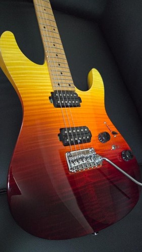 Ibanez az242f tsg guitare - az242f-tsg, /