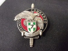 Insigne Brevet du Centre