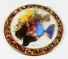 🦋 Taxidermie 4 Papillons