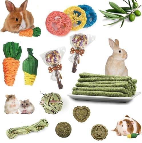 Pcs jouet pour lapin - lapin, à