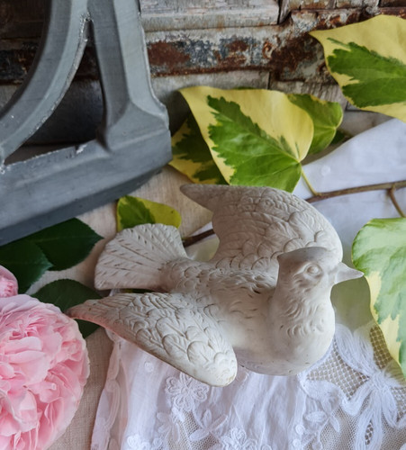 Ancienne colombe biscuit - ancienne, en