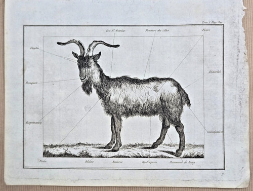 Gravure 1798 médecine - /,