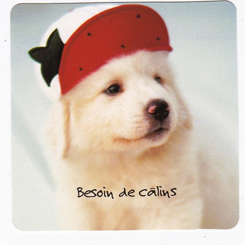 Chien chiot chiens carte - chiens,