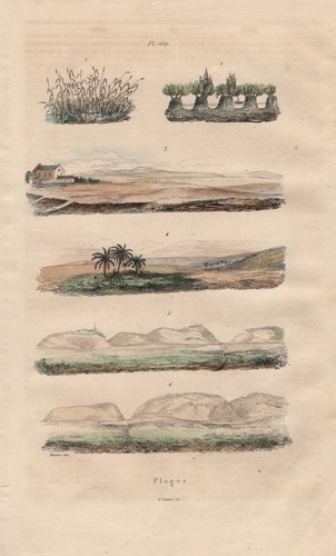 Paysages côtières oase watt - oase,
