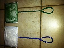 EPUISETTE VERTE 10 CM