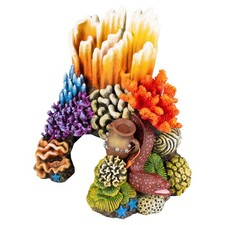 Aqua Della Coin De Corail Pour