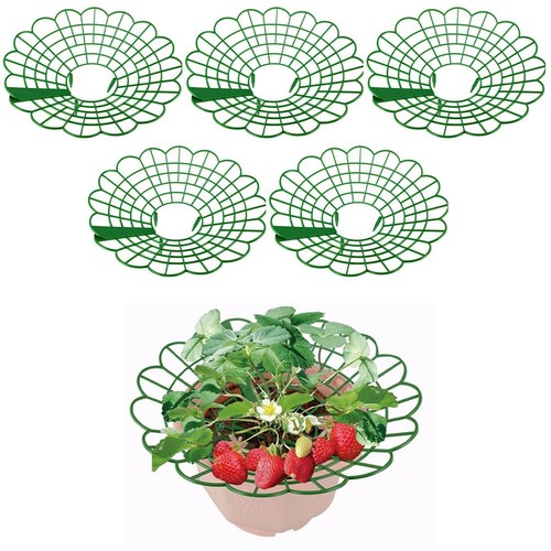 Support plante cage - plante,