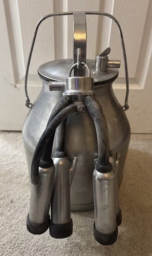 Vtg delaval stainless cow - ,