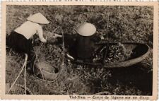 Old postcard AK vegetable cup on a pond Vietnam Indochina (1345197)
