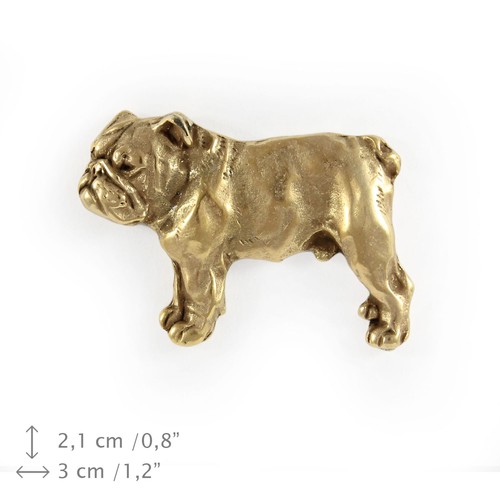 Bulldog anglais corps - bulldog, corps,