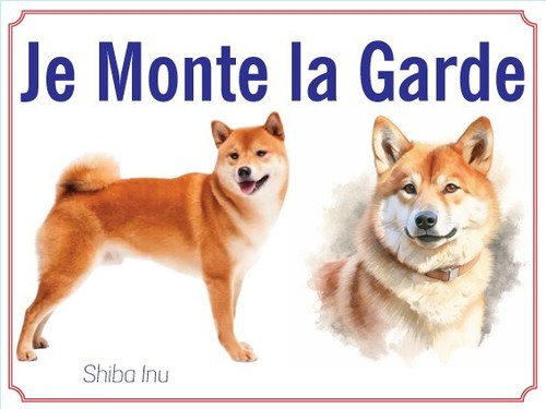 Attention chien je monte - au,
