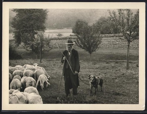 Photographie berger âgé - de,
