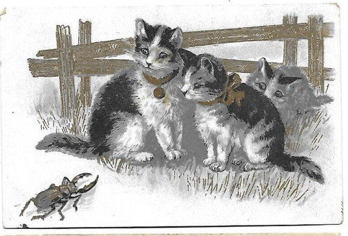 Cpa carte postale - carte, ancienne