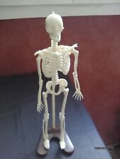 Educational game. ANATOMY 2000.  Not Complete. 75s.