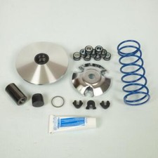 Variateur Polini pour Scooter Honda 125 PCX Après 2010 241.697 / Maxi Hi Speed