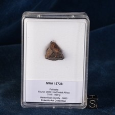 Météorite NWA 15738 de 5,64