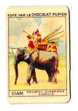 magnet aimant Siam chocolat