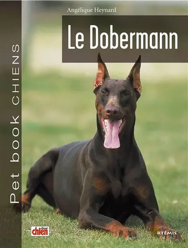 Doberman angélique heynard - angélique,