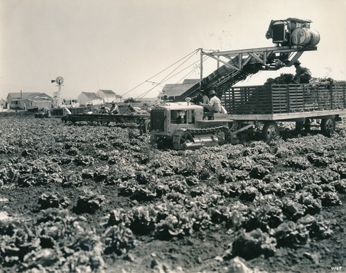 Salinas 1950 tracteur - 1950,