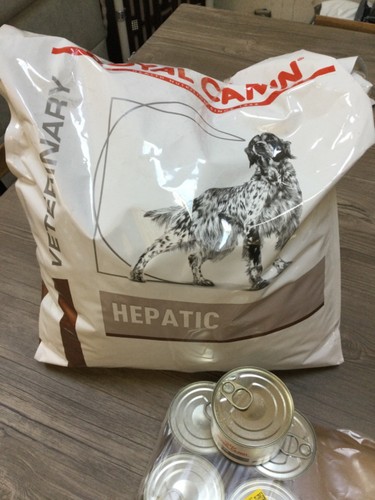 Croquettes chien royal canin - chien,