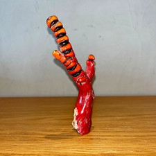 Rare grande branche de corail