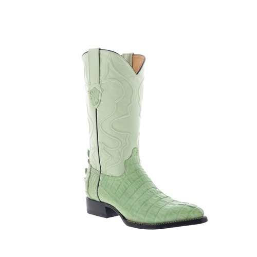 Wild west caiman - caiman, tail
