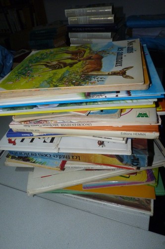 Lot anciens livres - lot,