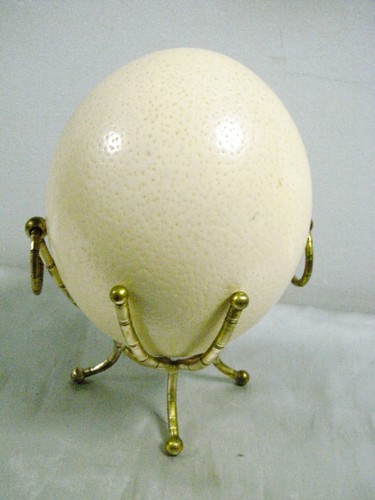 Cabinet de curiosite - 🇫🇷,