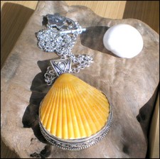 COLLIER NEUF COQUILLAGE &