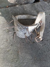 rare collier anti loup pour