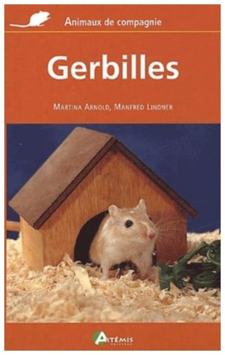 Animaux compagnie - animaux,