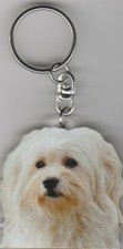 BICHON HAVANAIS CHIEN PORTE CLES / HAVANA  DOG K.FOB