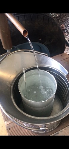 Eau vie coings - de,
