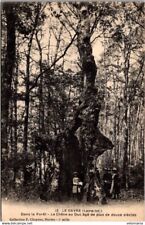 23300 postcard 44 Le Gavre - le oak au Duc ...